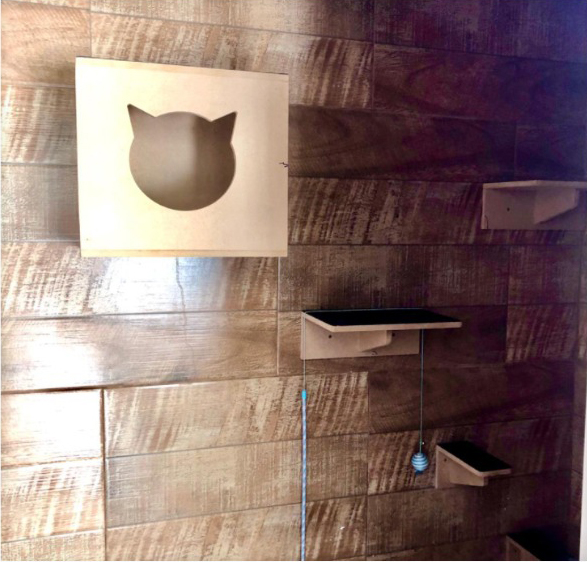 hotel-gato-1