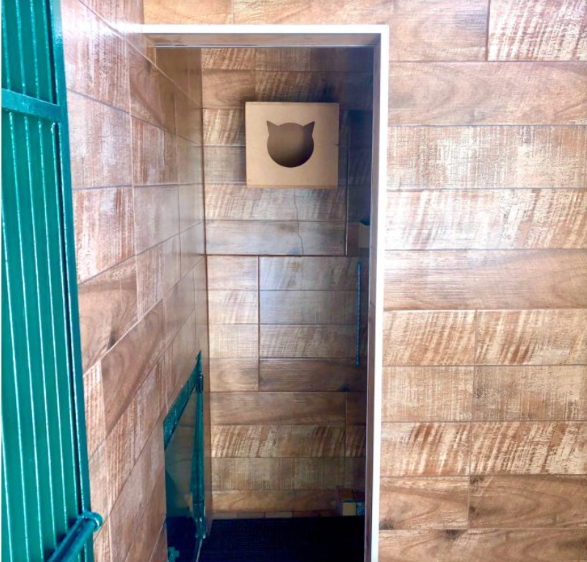 hotel-gato-2